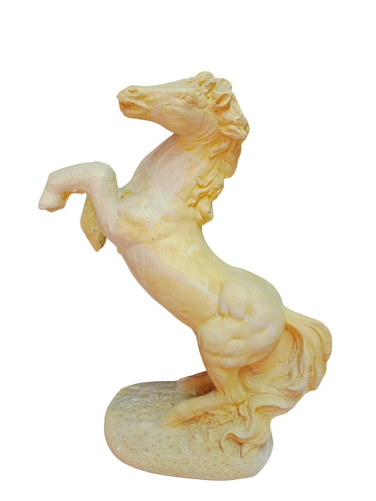 Caballo Chúcaro grande