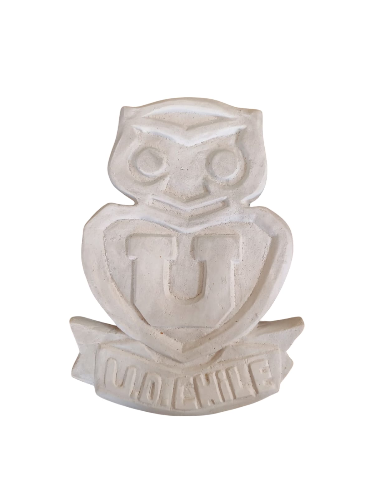 Insignia Universidad de Chile (731)