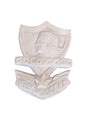 Insignia Colo Colo (732)