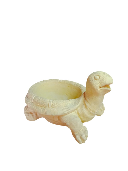 Tortuga maceta