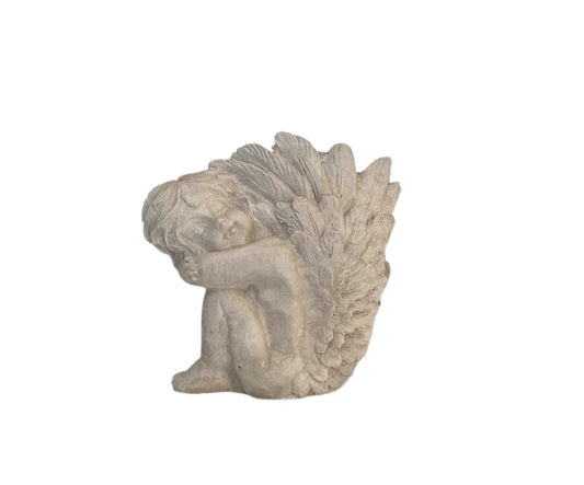Maceta de Angel (396)