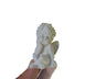 Angel mini (469)