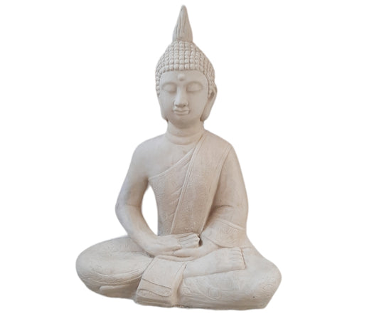 Buda meditación grande (39)