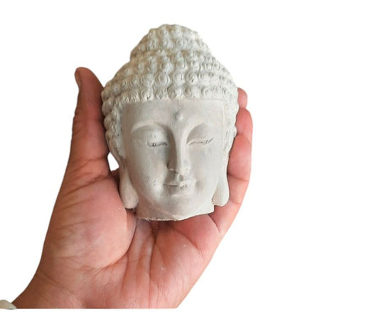 Cabeza buda (65)