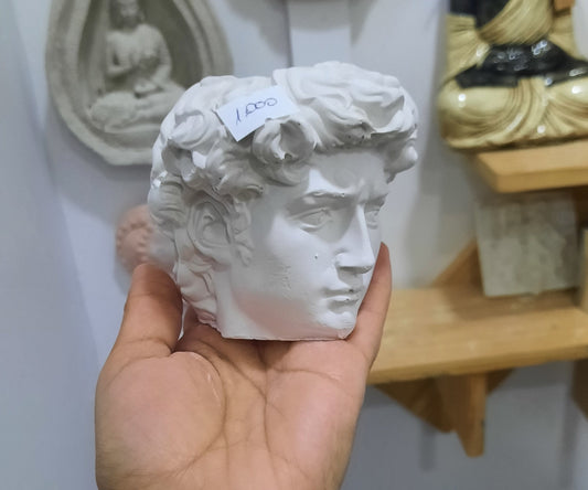 Maceta david (145)