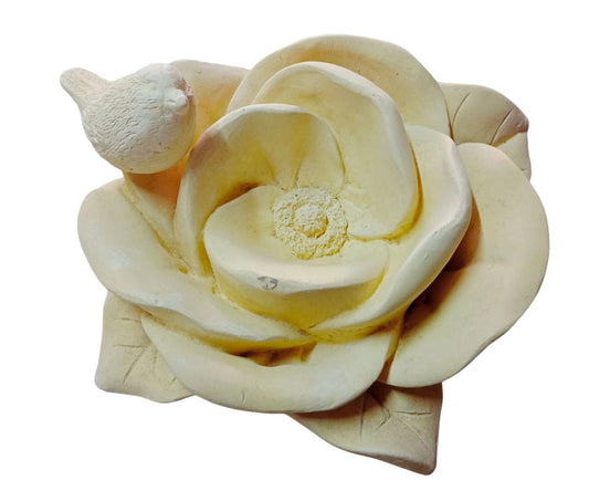 Flor pajarito (ziña)