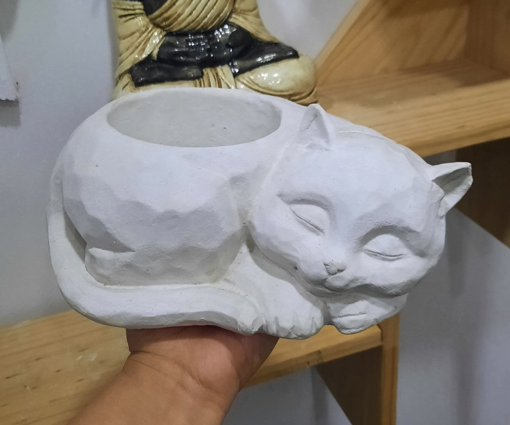 Gato maceta