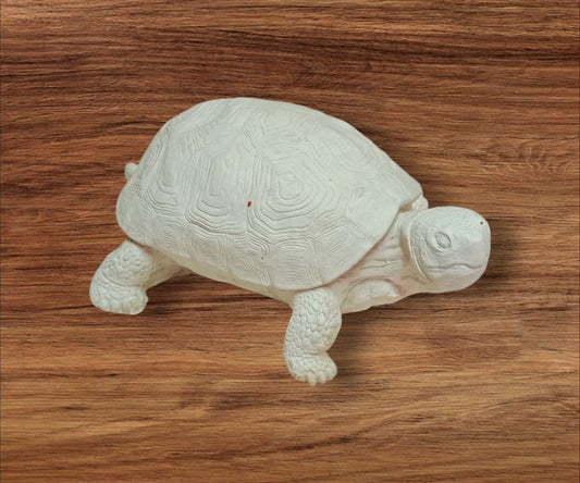 Tortuga (673)