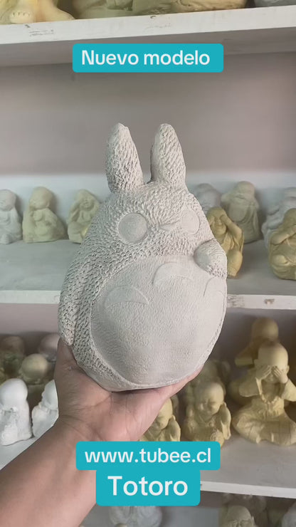 Totoro (790)