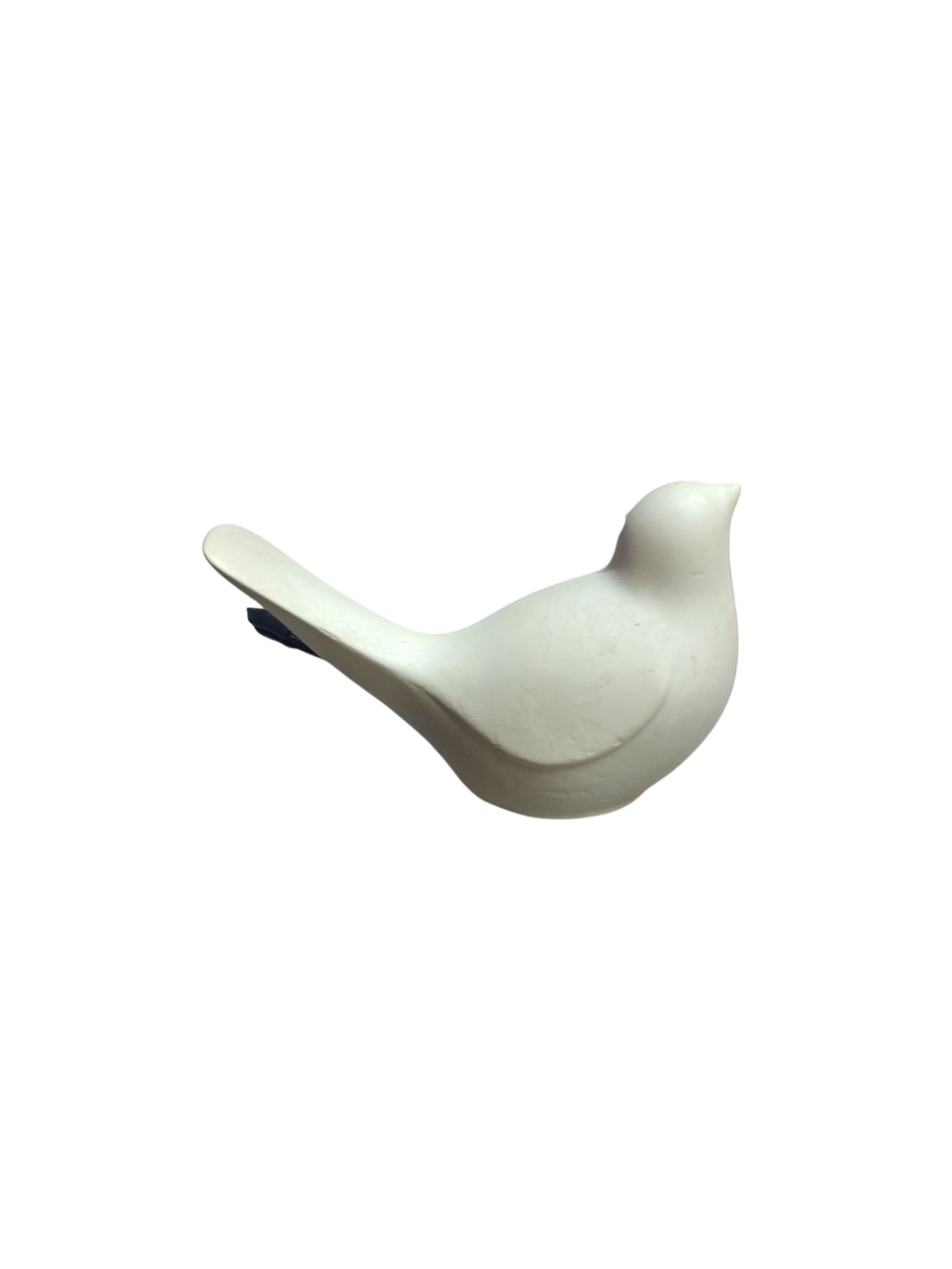 Pájaro 11x7