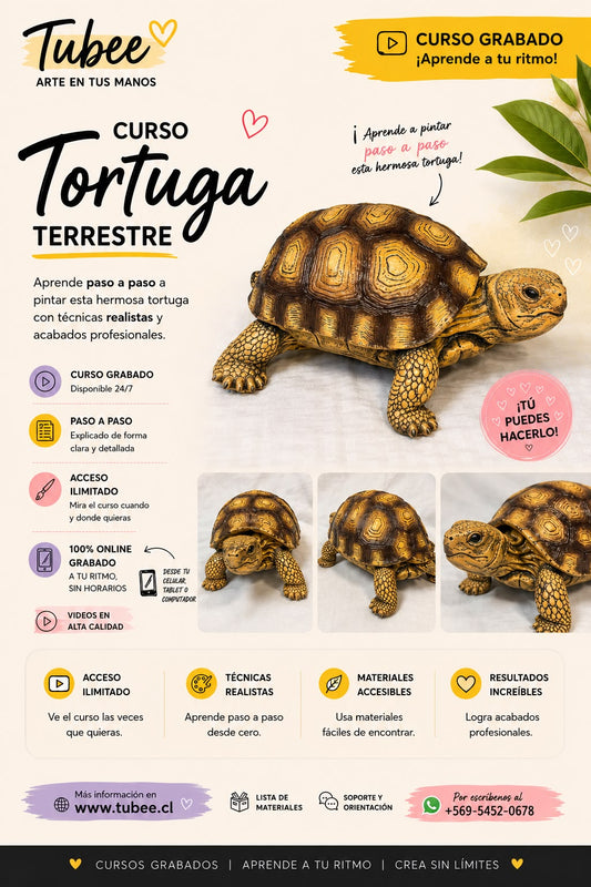 Curso Tortuga terrestre