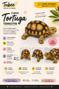 Curso Tortuga terrestre