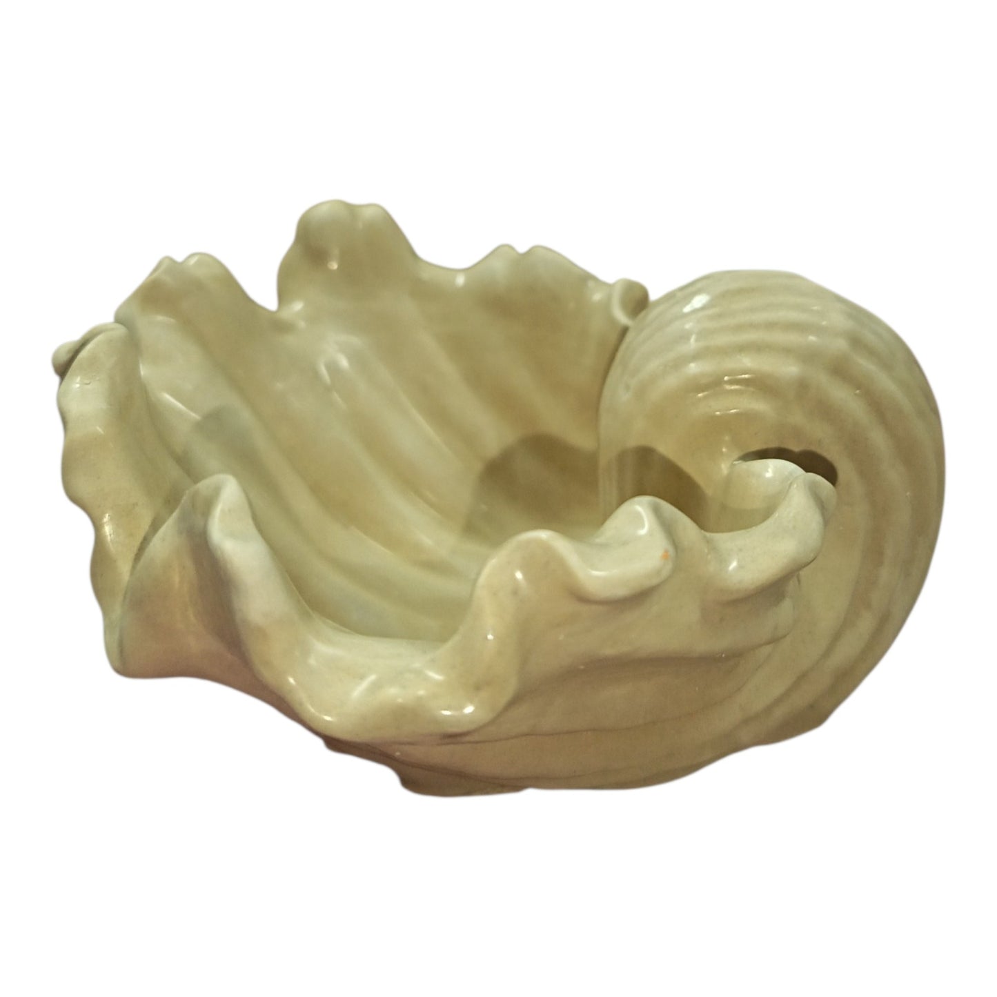 Caracola 13 cm largo x 12 cm ancho