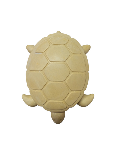 Cofre tortuga 5cm alto x 16 cm ancho