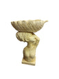 Africana con hoja 28 cm alto