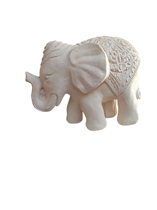 Elefante sombrero