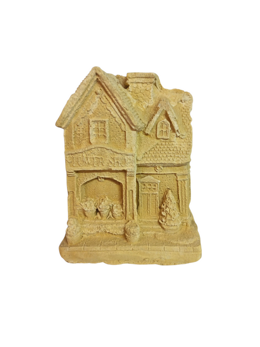 Casa navidad plantas