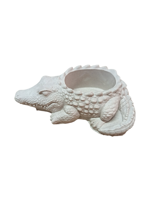 Cocodrilo 10x10 cm