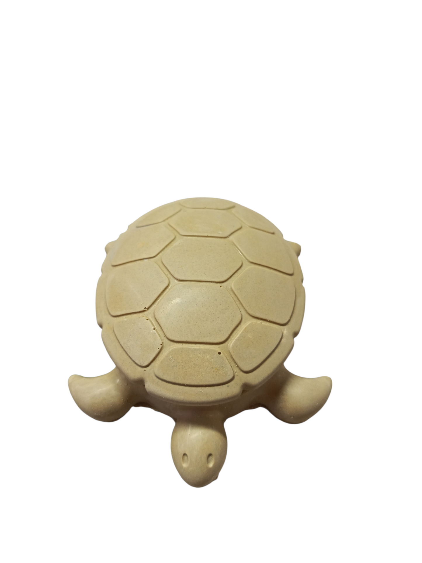 Cofre tortuga 5cm alto x 16 cm ancho