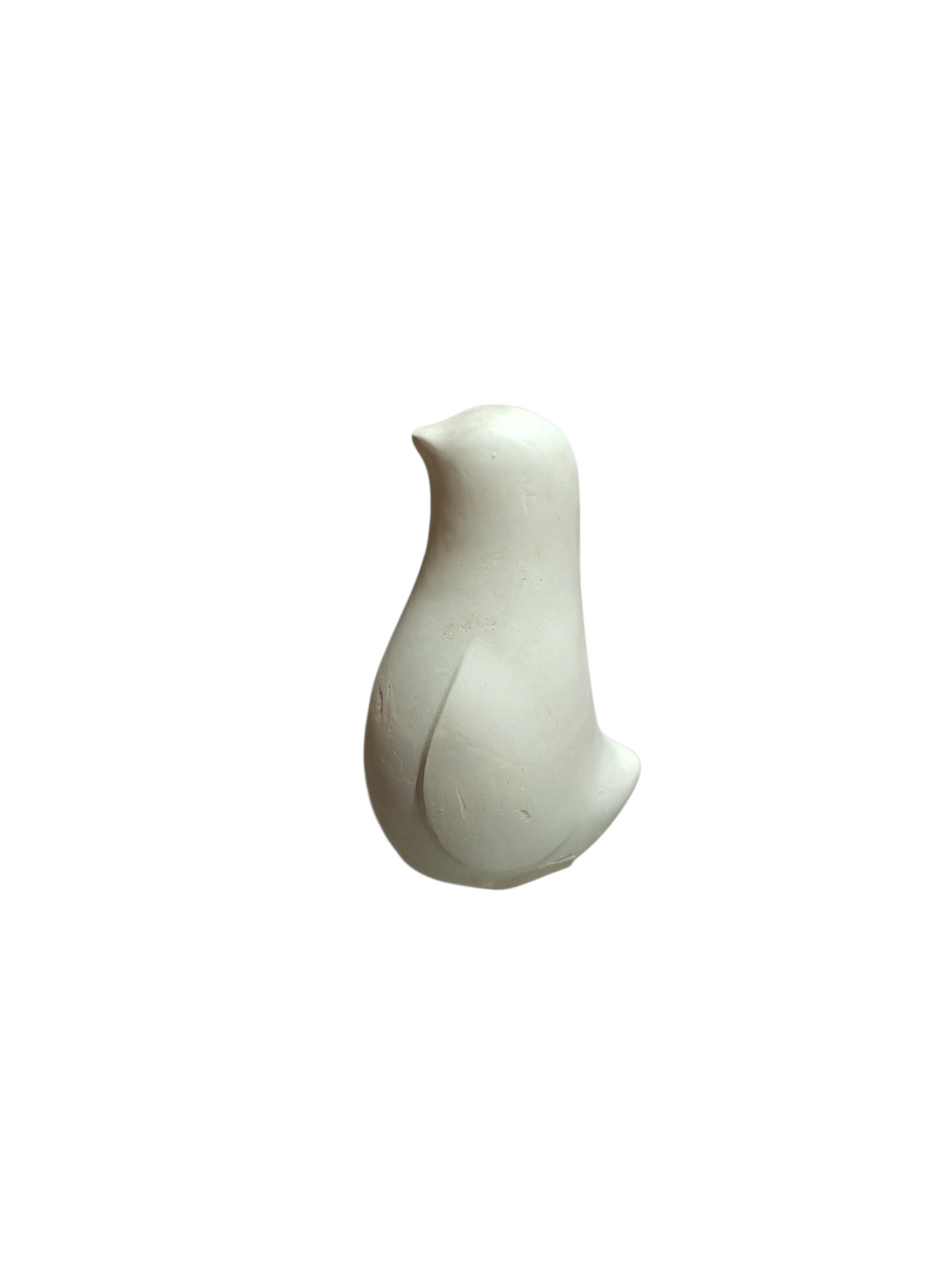 Pájaro 10x7