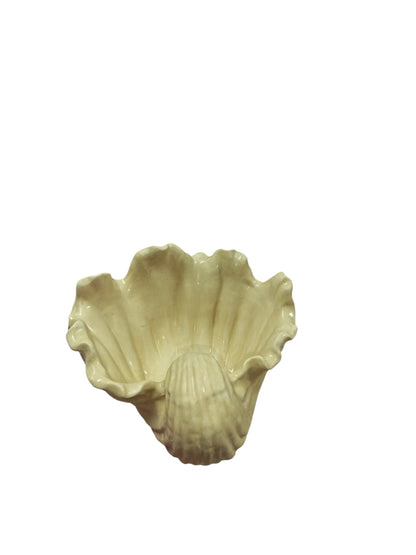 Caracola 13 cm largo x 12 cm ancho