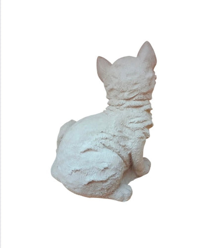 Gato (680)