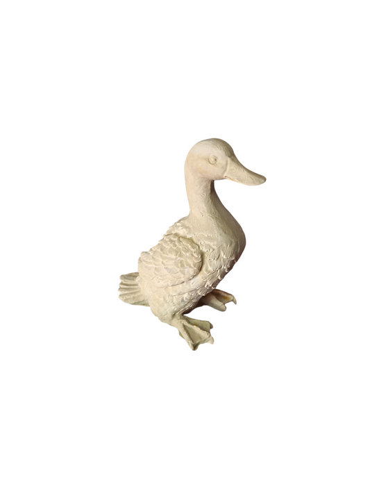 Canso (911) 12 cm alto x 8,5 cm ancho