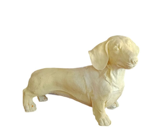 Perro salchicha xl (ziña)