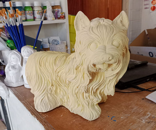 Perrita York Shire (ziña)